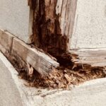 【実録】八尾・東大阪の空き家を「負債」から「資産」に変える、あるいは「正しく手放す」ための全戦略